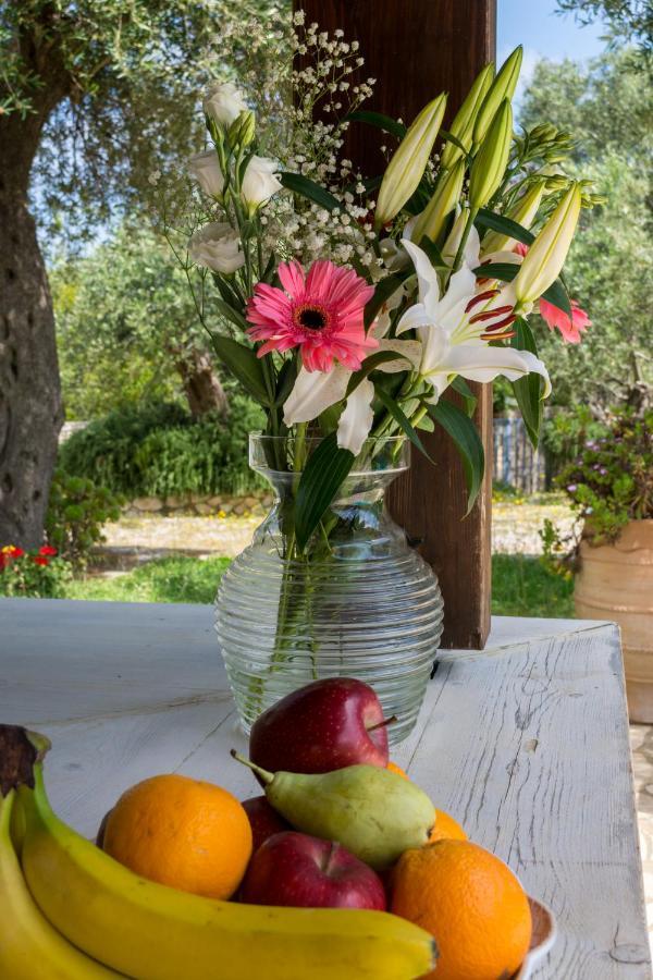 Villa Elaia Suites & Apartments No.7 Gaios Buitenkant foto