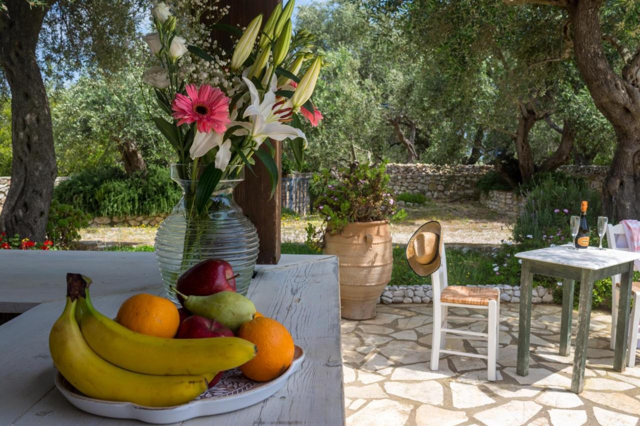 Villa Elaia Suites & Apartments No.7 Gaios Buitenkant foto